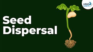 Seed Dispersal  Reproduction in Plants  Dont Memorise [upl. by Ttenaej]