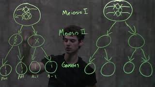 Genetics Nondisjunction amp Meiosis [upl. by Nyrek711]