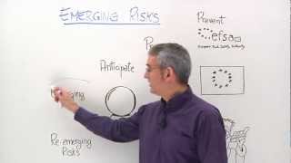 How to identify emerging risks [upl. by Popelka25]