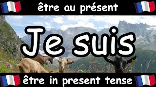 French Conjugation Song  Être  Celtic Music [upl. by Einnov]