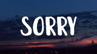 Alan Walker amp ISÁK  Sorry Lyrics [upl. by Orrocos]