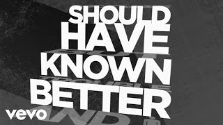 Hinder  Should Have Known Better Official Lyric Video [upl. by Nonnarb]