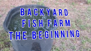 Starting A Backyard Fish Farm [upl. by Mellicent]