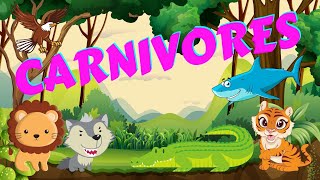 Carnivores  Types of Animals  Science for Kids [upl. by Nirat]