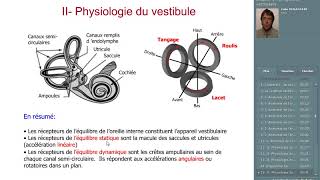 le système vestibulaire [upl. by Aplihs284]