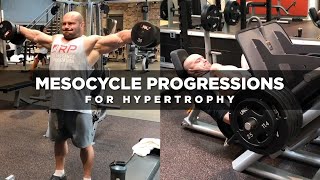 Mesocycle Progressions for Hypertrophy  Dr Mike Israetel [upl. by Arahsak175]