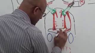 Hearing  Anatomy amp Physiology of the Auditory System [upl. by Dilks]