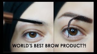 TESTING TATTOO BROWS  Eyebrow Makeup Tutorial [upl. by Fauch]