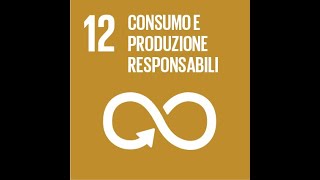 Agenda 2030 Garantire modelli sostenibili di produzione e di consumo [upl. by Edaj615]