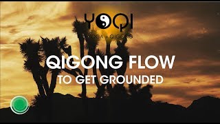 Qigong Flow to Get Grounded [upl. by Yerfej579]