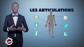 2mn pour comprendre LES ARTICULATIONS avec Polus Agathon [upl. by Norrie]