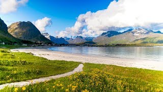 Uplifting Music  light positive happy music Gullrosøya  1 hour [upl. by Biancha]