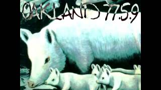 Pink Floyd  Oakland Alameda Coliseum 19770509 Rare Full Concert [upl. by Nyvar]