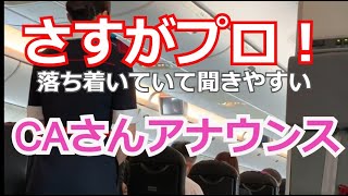 さすがプロ！ CAさんのフライト前～離陸直後のアナウンス【日本航空JAL】 [upl. by Nomae]