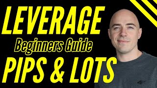 Forex Leverage for Beginners Explained lot sizes and pips [upl. by Berck]