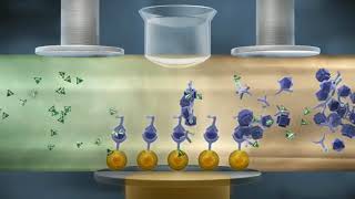 How Electrochemiluminescence ECL Works [upl. by Mcnully]