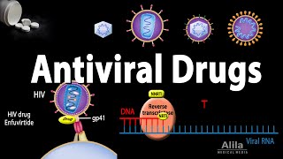 Antiviral Drugs Mechanisms of Action Animation [upl. by Leveroni]