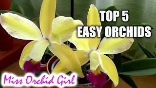 Top 5 orchids for beginners [upl. by Kienan]