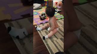 8 month old stimming  CMS Complex Motor Stereotypies [upl. by Nekcarb]