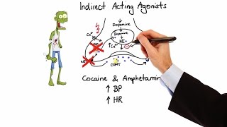 Pharmacology  ADRENERGIC RECEPTORS amp AGONISTS MADE EASY [upl. by Rialc802]