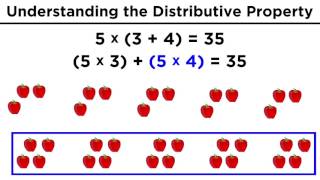 The Distributive Property for Arithmetic [upl. by Gram]