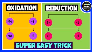 Oxidation and Reduction Reactions [upl. by Obara]