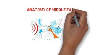 ANATOMY OF MIDDLE EAR [upl. by Eelsha]