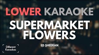 Ed Sheeran  Supermarket Flowers LOWER Key Karaoke [upl. by Assilak]