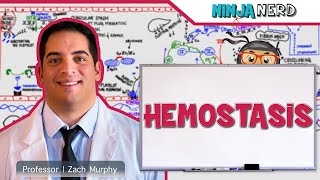 Hematology  Hemostasis Coagulation Cascade [upl. by Christoph]