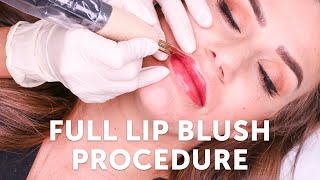 Full Lip Blush Procedure  Tina Davies Professional I 💋 INK [upl. by Ert108]