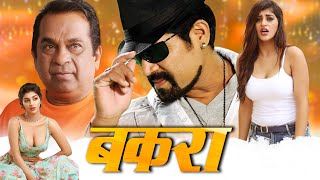 बकरा  Latest South Indian Comedy Movie Dubbed In Hindi  Srihari Yashika Brahmanandam [upl. by Schiro525]