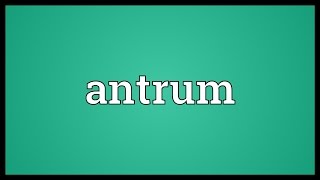 Antrum Meaning [upl. by Arehc899]