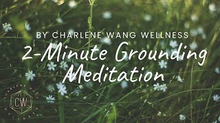 2 Minute Guided Meditation for Grounding [upl. by Paxon]