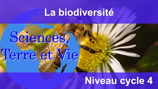 La biodiversité [upl. by Maximilianus]