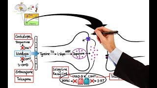 Pharmacology  DRUGS FOR PARKINSONS DISEASE MADE EASY [upl. by Ellehcit]