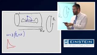 Introducing MRI Introduction to Magnetic Susceptibility 14 of 56 [upl. by Werdnael914]