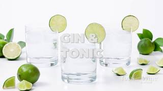 How to Make a Gin and Tonic Cocktail [upl. by Drawdesemaj]