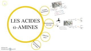 Les acides αaminés partie 12 [upl. by Muir]