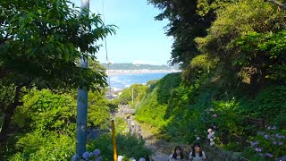 Walking in Kamakura Temple on a hill overlooking the sea [upl. by Therine]