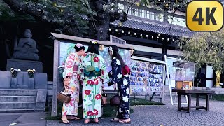 4K Kamakura Japan  Beautiful shrines and gardens Walking tour [upl. by Rox]