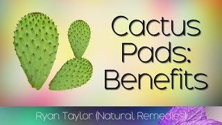 Cactus Leaf Benefits amp Uses Nopales [upl. by Enial]