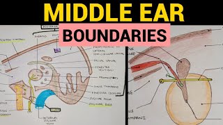 Middle Ear Anatomy  2  Boundaries [upl. by Dde]