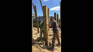 Installing pilings for beach houses Real Estate Development [upl. by Glynis609]