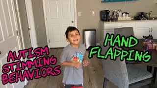 Hand Flapping  Autism Stimming Behaviors [upl. by Gibert]