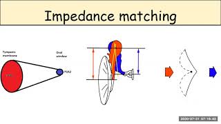 IMPEDANCE MATCHING [upl. by Rika]