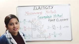 Lecture 17 Point elasticity of Demand [upl. by Chucho]