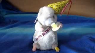 Singing Birthday hamsters by Gemmy [upl. by Nylinej]