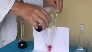 Titrage des ions fer ll par manganimétrieOxidation reduction titration [upl. by Allsun]