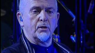 SledgeHammer  Peter Gabriel en Buenos Aires [upl. by Grethel971]