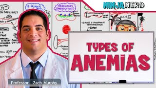 Hematology  Types of Anemias [upl. by Mendoza621]